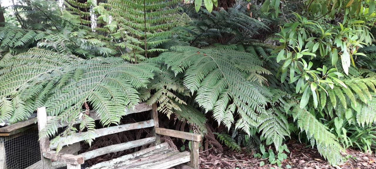 Earthsounds Country Cottage Taumarunui Exterior foto